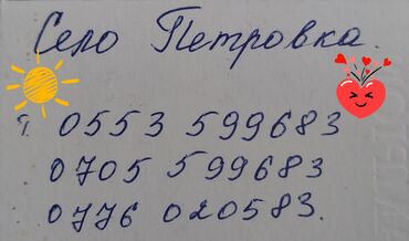 канарейка птица: Продаю гусей, 3мальчика и12девочек скоро начнут нестись. село