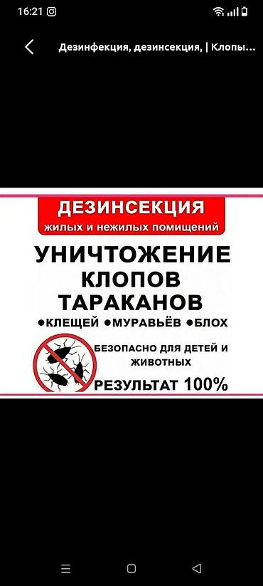 Дезинфекция, дезинсекция, | Тараканы, | Квартиры