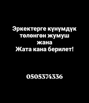 комнаты бишкек: 300 м², 5 комнат