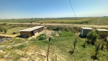 ищу дом военно антоновка: 4 соток