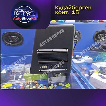 syzx: Сабвуфер 10 дюймов. Сабвуфер SYZX со встроенным усилителем - это — 2
