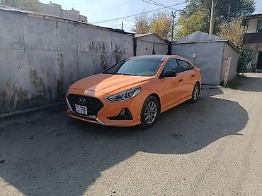 соната оранжевый: Hyundai Sonata: 2019 г., 2 л, Автомат, Газ, Седан — 3