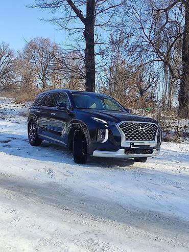 Hyundai: Hyundai Palisade: 2021 г., 3.8 л, Автомат, Бензин, Кроссовер — 7