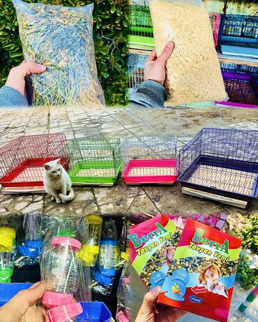 Qəfəslər: Etrafli vp 051 494 09 86 Qefeslerin her biri satişda var qefes bitende — 4