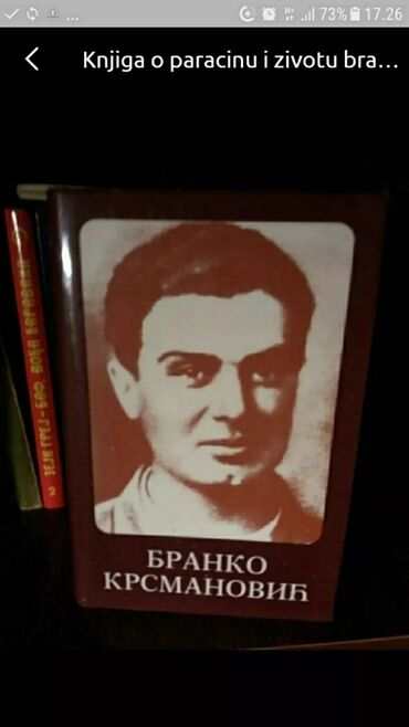 milica knjige za decu: Knjiga o Paraćinu i životu Branka Krsmanovića. Izdanje 1981 godina
