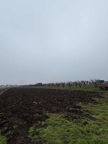 Prodaja zemljišta: Plac Ugrinovci centar, 110 ari + voćnjak Uknjižen 1/1 na ime vlasnika — 9