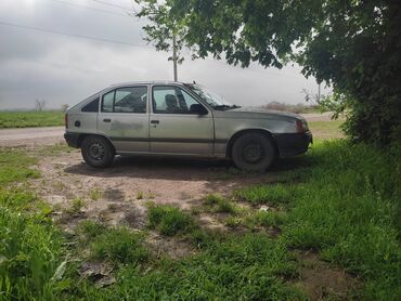 авто парк: Opel Kadett: 1994 г., 1.3 л, Механика, Бензин, Хэтчбэк