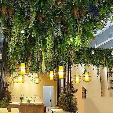 Başqa xidmətlər: Green House Azerbaijan. Dekor interyer Kafe×restoranlar üçün — 13
