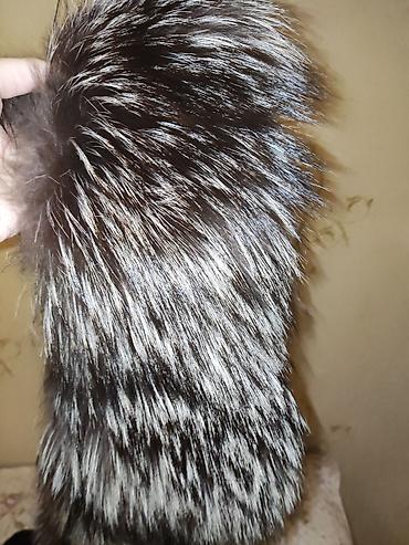 silver chinchilla: Boyunluq xəz. Чернобурка — 2