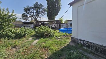 Продажа домов: Дом, 60 м², 4 комнаты, Собственник, Косметический ремонт at lalafo.kg — 11 Продажа домов: Дом, 60 м², 4 комнаты, Собственник, Косметический ремонт — 11