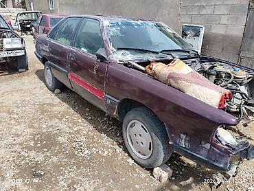 крыло на 124: Audi 100 C3 (седан), переходка. Разбор — 2
