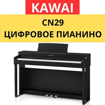 музыкальный усилитель купить: Продаем наше любимое цифровое пианино Kawai CN29 в красивом черном