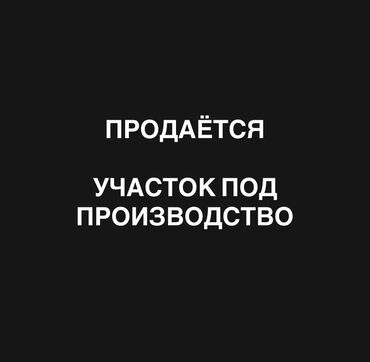 иссык куль снять жилье: 150 соток, Бизнес үчүн, Кызыл китеп, Техпаспорт