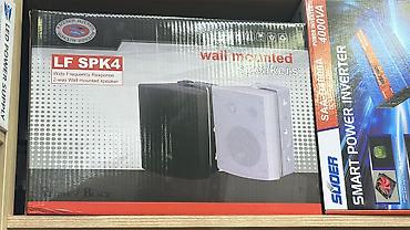 Dinamiklər və kolonkalar: LF SPK4 divara quraşdırılan akustik sistem + LF SP501 divar montajı — 3