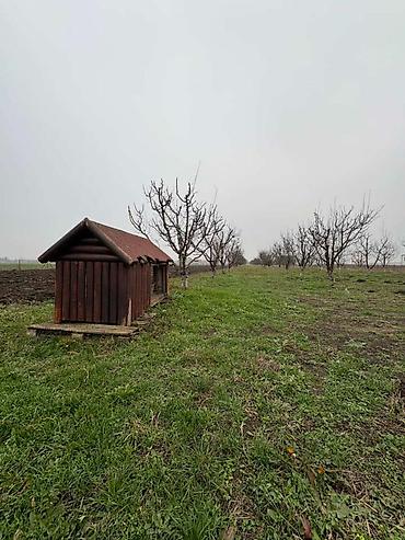 Prodaja zemljišta: Plac Ugrinovci centar, 110 ari + voćnjak Uknjižen 1/1 na ime vlasnika — 8