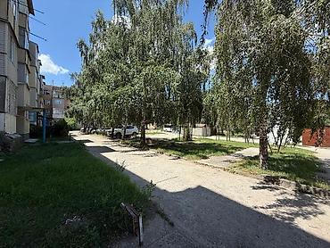 3 микр: Просторная 3‑комнатная квартира в кирпичном доме на первом этаже — 3