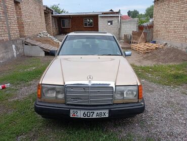 Mercedes-Benz: Mercedes-Benz 230: 1988 г., 2.3 л, Механика, Газ, Седан