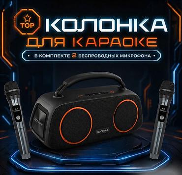 microlab solo 2: Портативная колонка караоке система с двумя микрофонами Eccotae TK-118 — 6