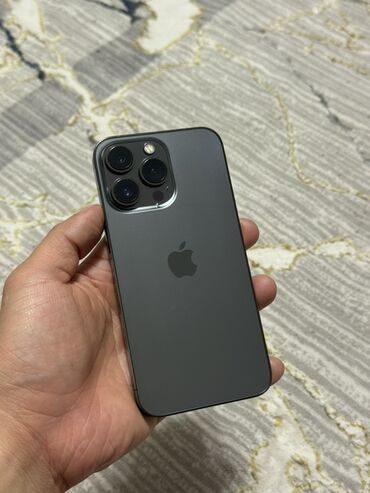 Apple iPhone: IPhone 13 Pro, Б/у, 256 ГБ, Графит, Чехол, 83 %