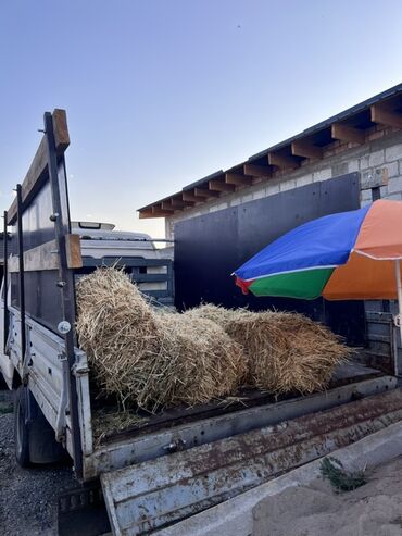 Легкий грузовой транспорт: Легкий грузовик, ГАЗ, Дубль, 2 т — 9