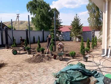 ишу работу охраника: Авто полив
газон
ландшафтный дизайн
от А до Я