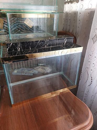 Akvariumlar: Çatdırılma tam pulsuzdu ölçü və dizaynında dəyişiklik etməy olar arxa — 5