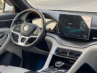 byd leopard: BYD Song Plus: 2021 г., Вариатор, Электромобиль, Кроссовер — 8