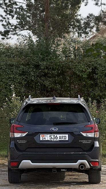 Subaru: Subaru Forester: 2019 г., 2.5 л, Вариатор, Бензин, Кроссовер — 7