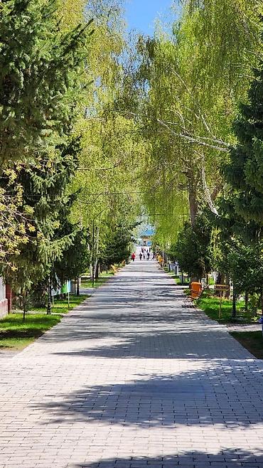 2 8: Аренда квартиры на Иссык-Куле, Радуга West, Кош-Кол, 3 места, Цена Целиком за жилье — 7