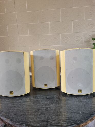 мр3 модуль: Акустическая система HK Audio IL 60-TW, разработанная для