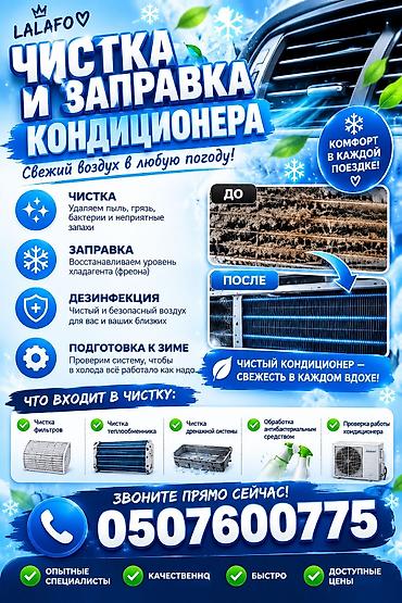 Профессиональная чистка, дезинфекция и заправка кондиционера Что