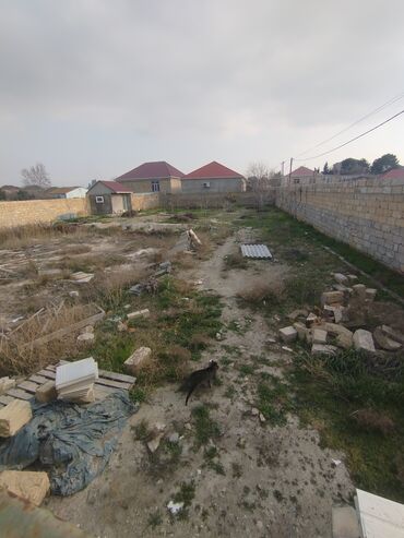 Torpaq sahələrinin satışı: 6 sot, Tikinti, Makler, Kupça (Çıxarış) — 4