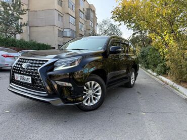 Lexus: Lexus GX: 2020 г., 4.6 л, Автомат, Бензин, Внедорожник — 2
