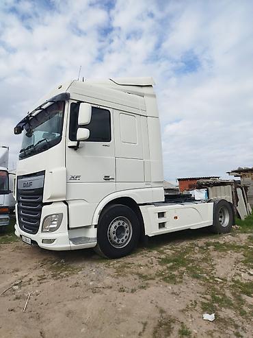 Тягачи: Тягач, DAF, 2014 г., Тентованный — 9