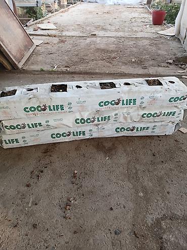baklar və çənlər: COCO LIFE kokos substrat - 12 000+ ədəd hazır! Samuxda 3 hektarlıq — 2