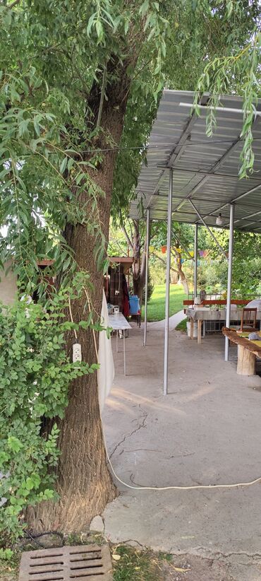 Сельхоз предприятия: Продается Кашара Фермерское- хозяйство с действующим бизнесом и с — 28