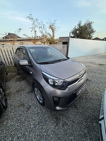 ситроен пикассо: Kia Picanto: 2019 г., 1 л, Автомат, Бензин, Хэтчбэк — 1