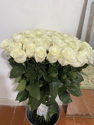 роза букет: Букет из белых роз - Классические белые розы с крупными бутонами — 1