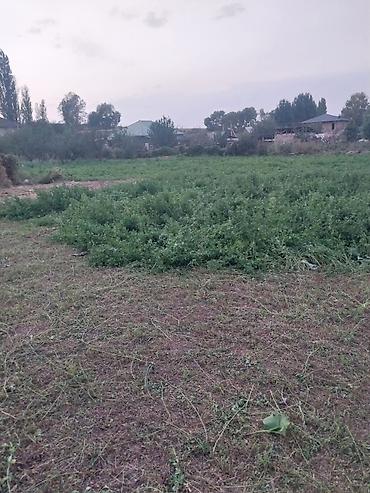 Продажа участков: 20 соток, Для бизнеса, Красная книга — 3