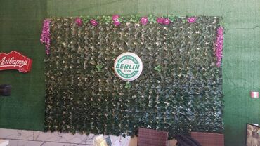 Toxumlar: 10 azn baslayan qiymetler Suni qazonlarin topdan satisi Suni qazon -da lalafo.az — 30 Toxumlar: 10 azn baslayan qiymetler Suni qazonlarin topdan satisi Suni qazon — 30