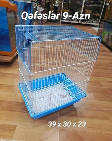 Qəfəslər: Quş qəfəsləri 9-azn müxtəlif rəngləri və modelləri var Kvadrat və Ev — 12