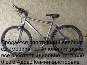 Городские велосипеды: Городской велосипед, Trek, Рама XL (180 - 195 см), Б/у