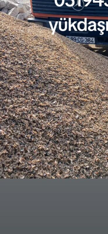 Qum: Bütün növ tikinti matrialları qum çınqıl assep qara qum qrabil daş — 7