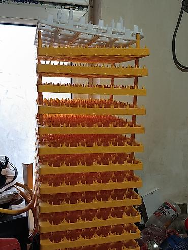 sendiviç panel: 1000 ədəd toyuq yumurtası tutumlu avtomatik inkubator sistemi - Metal — 2