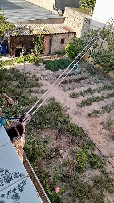 Həyət evləri və villaların satışı: 7 otaqlı, 270 kv. m, Kredit yoxdur, Yeni təmirli — 8