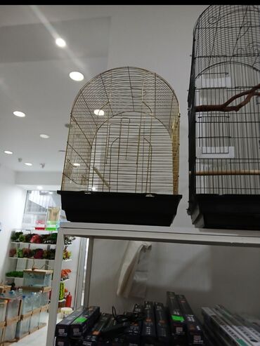 Qəfəslər: Her novde her qiymete qefeslermiz var catrilma var metrolara rayolara — 9