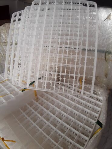 İnkubatorlar: 88 ədədlik toyuq latoq 
ölçü (50 .36) — 15