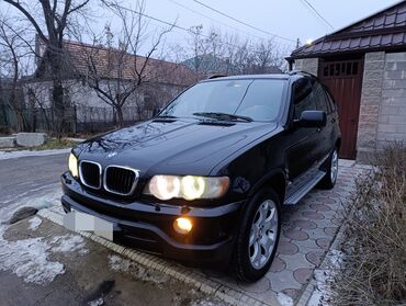 бмв м54: BMW X5: 2003 г., 3 л, Автомат, Газ, Внедорожник