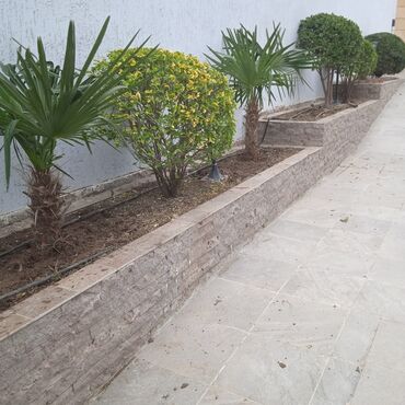 Bağbanlar: Bağ işləri ağac və kolların budanması,şəkilləndirməsi dərmanlara qazon -da lalafo.az — 11 Bağbanlar: Bağ işləri ağac və kolların budanması,şəkilləndirməsi dərmanlara qazon — 11