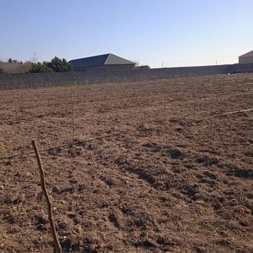 Suvarma sistemləri: Bağlarda və villarda suvarma sistemlərinin quraşdırılması qazon — 7